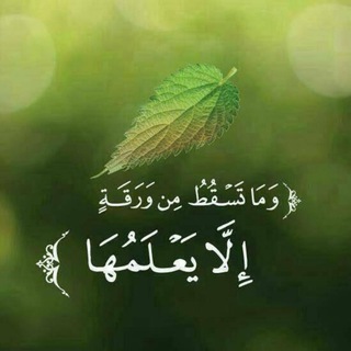 لوگوی کانال تلگرام almasged — نور المسجد