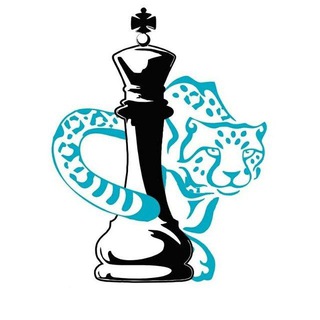 Логотип телеграм канала @almatychess_kz — Федерация шахмат города Алматы