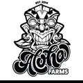 Logo saluran telegram alohafarmsog — Aloha Farms 🌊