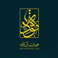Logo saluran telegram alollah_mavaddat — موسسه مودّت |هیات آل الله|