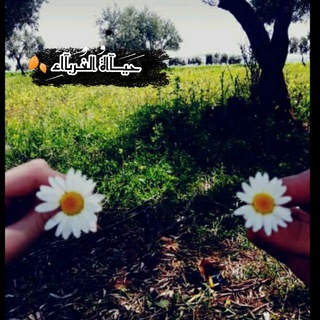 لوگوی کانال تلگرام alorabaa — حَيــآاةُ الغُـرَبآاء 🍂