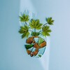 Лагатып тэлеграм-канала alovakmag — ALOVAK ｜Калекцыя творчых знаходак