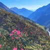 Логотип телеграм канала @alpen_retreat — Ретриты в Альпах 🌄
