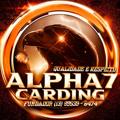 Logo saluran telegram alpha7store — ALPHA 7 CARDING