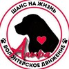 Логотип телеграм канала @alphadogs57 — ОРОО "АЛЬФА"