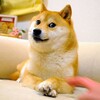 Логотип телеграм канала @already_japanese — Вы уже знаете японский!
