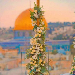 لوگوی کانال تلگرام alshaarah — حبر الحرب