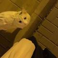 لوگوی کانال تلگرام alshjiop — . ِꪀᎥَᥴꫀ ᥕَ᥆𝗋ᥣَძ .