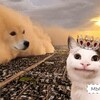 Логотип телеграм канала @alt_meme — альтмемы