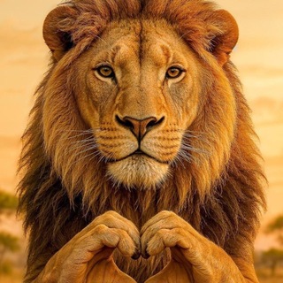 Логотип телеграм канала @altai_lion22 — Altai Lion🦁