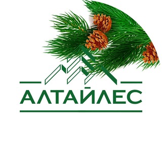 Логотип телеграм канала @altailes_holding — Холдинг «Алтайлес»