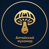Логотип телеграм канала @altaiskayaderevnya — Алтайский Мухомор