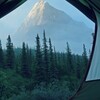 Логотип телеграм канала @altaygorgo — на Алтае любят
