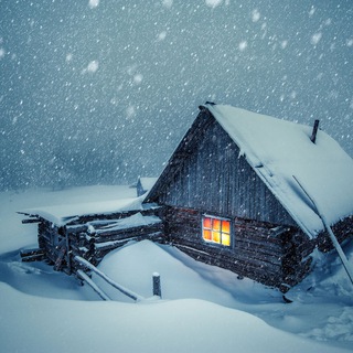 Telegram channel Сельские новости Алтайского края logo