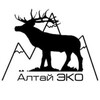 Логотип телеграм канала @altgribec — Алтай ЭКО