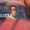 Логотип телеграм канала @altor46 — Ростик ржавый