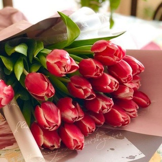 Telegram kanalining logotibi alvon_lolalarr — 🌷 ู๊ ู๊ ู๊ ู๊✾A͜͡L͜͡V͜͡O͜͡N✾L͜͡O͜͡L͜͡A͜͡L͜͡A͜͡R✾ ู๊ ู๊ ู๊ ู๊🌷