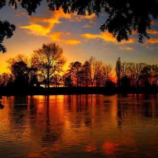 Логотип телеграм -каналу alvorecer — 🌅 ALVORECER 💖