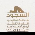 لوگوی کانال تلگرام alwatr1 — الوتر