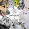 Логотип телеграм канала @alyssum_channel — Алиссум арт