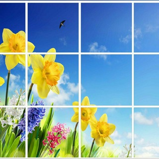 电报频道的标志 amajazi — آسمان مجازی FD