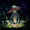 Logo of telegram channel amanitadreams — 🍄 Amanita Dreams 🍄