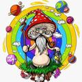 Logo saluran telegram amanitamisteria — Amanita Misteria 🍄🪐МИКРОДОЗИНГ МУХОМОРА