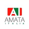 Логотип телеграм канала @amataitaliadom — СТРАНА для жизни 🇮🇹 ВНЖ и визы в Италию