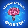 Логотип телеграм канала @amazingfactsru — УДИВИТЕЛЬНЫЕ ФАКТЫ 🧠