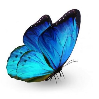 Telegram channel BeautifulPictures logo