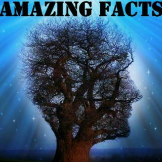 Логотип телеграм канала @amazingnews — Забавные вещи. Забавные новости. Amazing news. Amazing things.