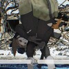 Логотип телеграм канала @ambassador_sso_obzor — Любитель SSO