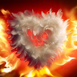 Logo of telegram channel ambervalentinecards — AmberValentineCards