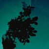 Логотип телеграм канала @ambient_flac — .ambient.