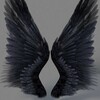 Логотип телеграм канала @ambitious_wings1 — Амбициозные Крылья