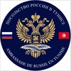 Logo of telegram channel ambrustun — Russie en Tunisie 🇷🇺🇹🇳 ✔