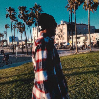 Логотип телеграм канала @americanninja209 — diaz unreal