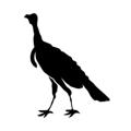 Logo saluran telegram americanspectator — The American Spectator ✔