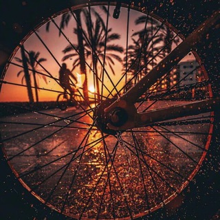 Logo of telegram channel amezingphotos — Amazing photos