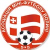 Логотип телеграм -каналу amfv_2024 — АМФВ | Асоціація футзалу Волині