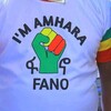 የቴሌግራም ቻናል አርማ amharapo — Amhara today