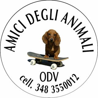 Logo del canale telegramma amicideglianimaliravenna - Amici degli Animali Ravenna
