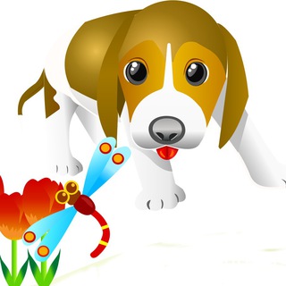 Logo del canale telegramma amicodog - AmicoDOG