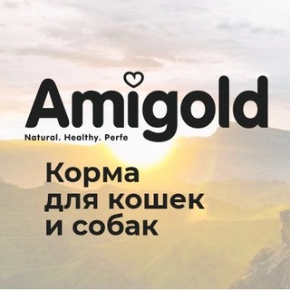 Логотип телеграм канала @amigold_shop — Amigold.shop