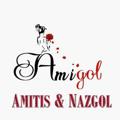 Logo saluran telegram amigoltolidi — نمایندگی پخش آمیگل