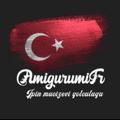 Logo saluran telegram amigurumituti — AmigurumiTr