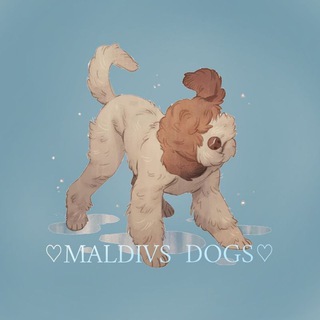 Логотип телеграм канала @amimals_tpo — 🌊👑MALDIVS_DOGS🥥💙