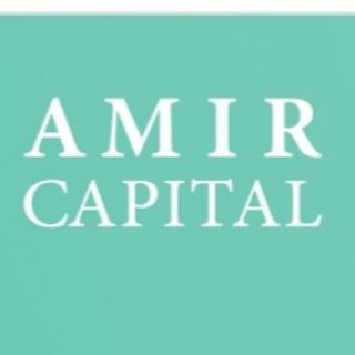 Логотип телеграм канала @amir_kapital — Крипто инвестор