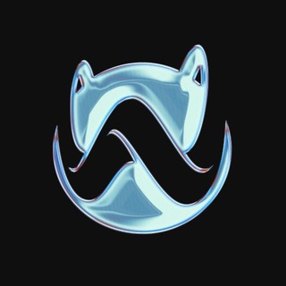 Логотип телеграм канала @amirwalletofficial — Amir Wallet | Официальный канал