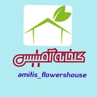 Логотип телеграм канала @amitis_flowershouse — گلخانه آنلاین آمیتیس ⭕عمده فروشی⭕